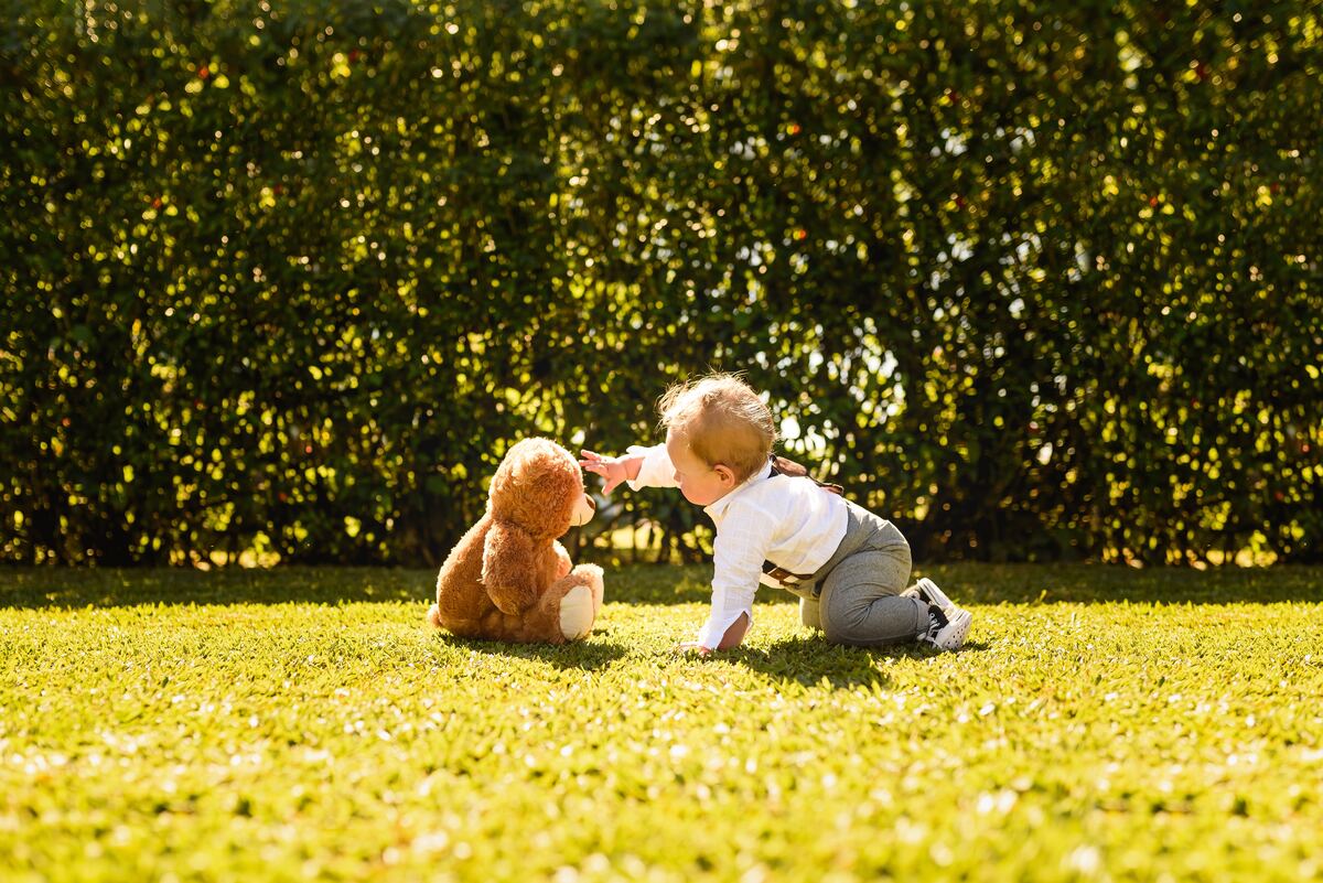 Queremos todos: estos son los peluches más lindos del mundo!!